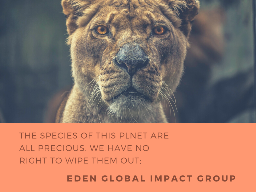 wildlife-park-presentation